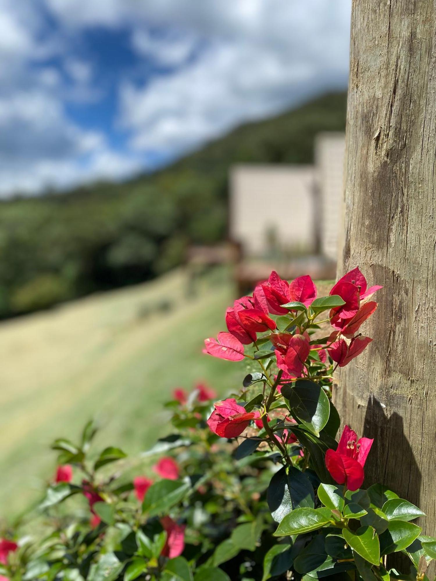 Chales Fazenda Floresta Das Araucarias Cunha Zewnętrze zdjęcie