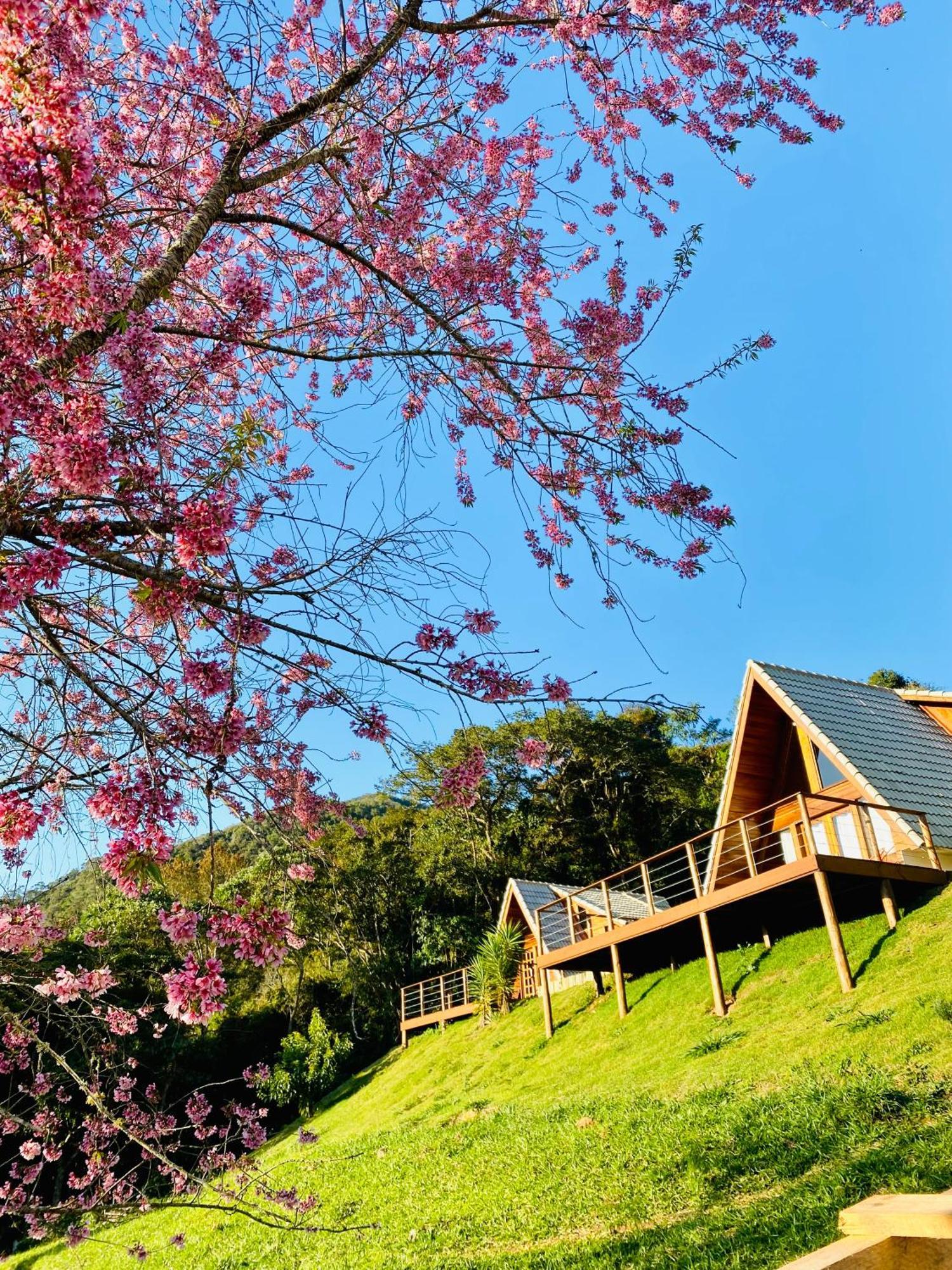 Chales Fazenda Floresta Das Araucarias Cunha Zewnętrze zdjęcie