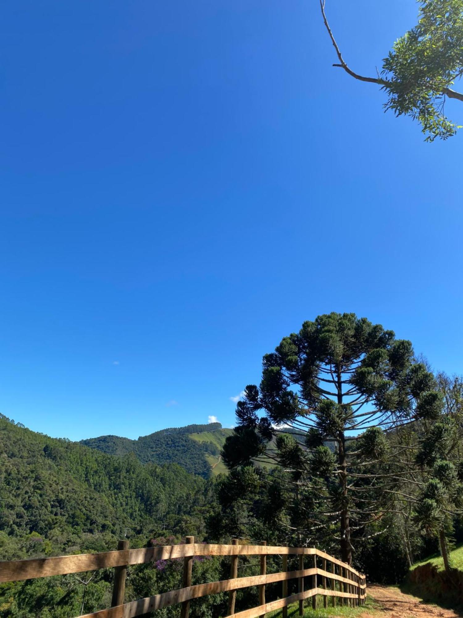 Chales Fazenda Floresta Das Araucarias Cunha Zewnętrze zdjęcie