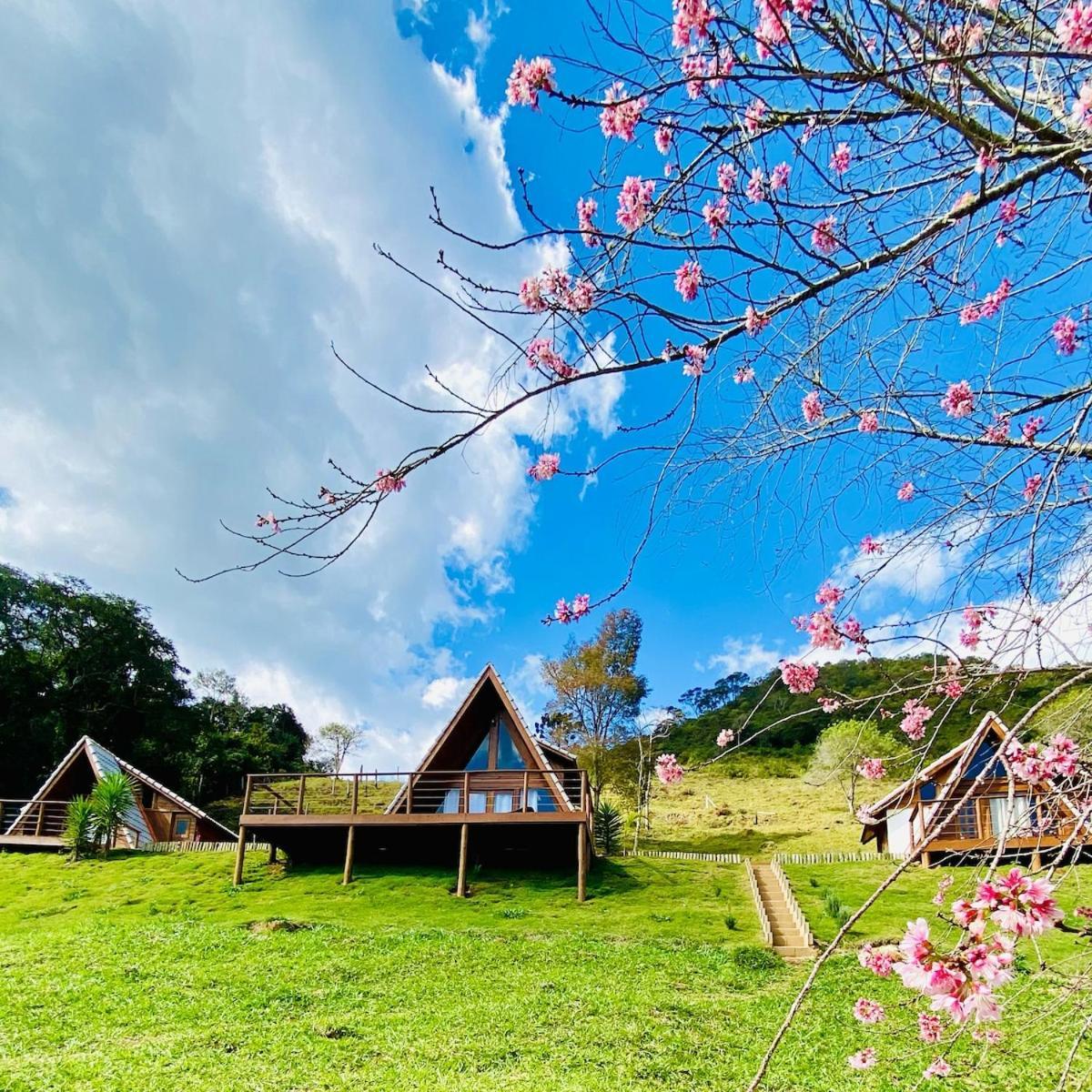Chales Fazenda Floresta Das Araucarias Cunha Zewnętrze zdjęcie